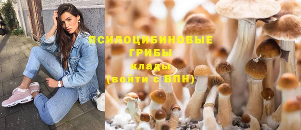 apvp Абинск