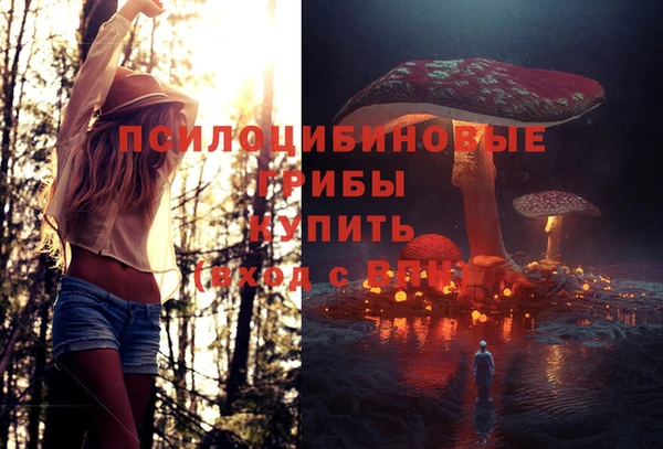 apvp Абинск