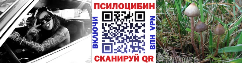 где продают наркотики Александровск Псилоцибиновые грибы GOLDEN TEACHER